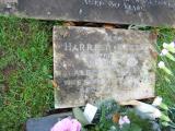 image of grave number 356118